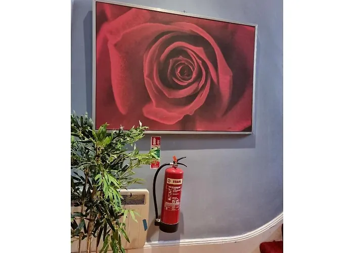F203-Fantastic Second Flr Studio Near Hyde Park